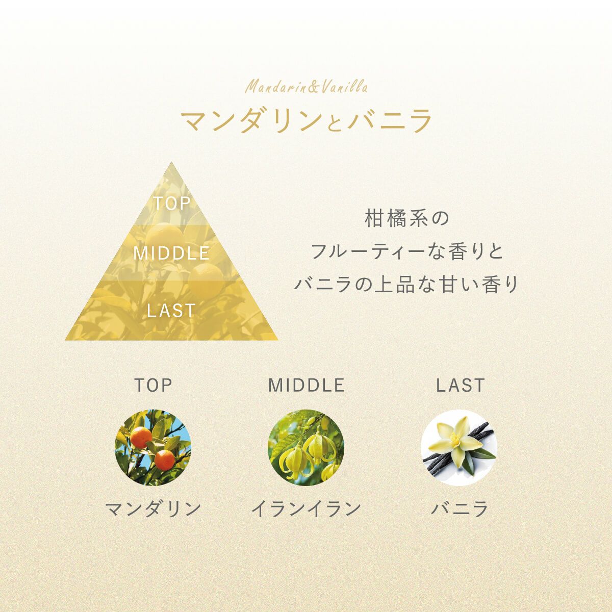 絹屋 国産シルクとオーガニックオイルのハンドクリーム | DAIGO